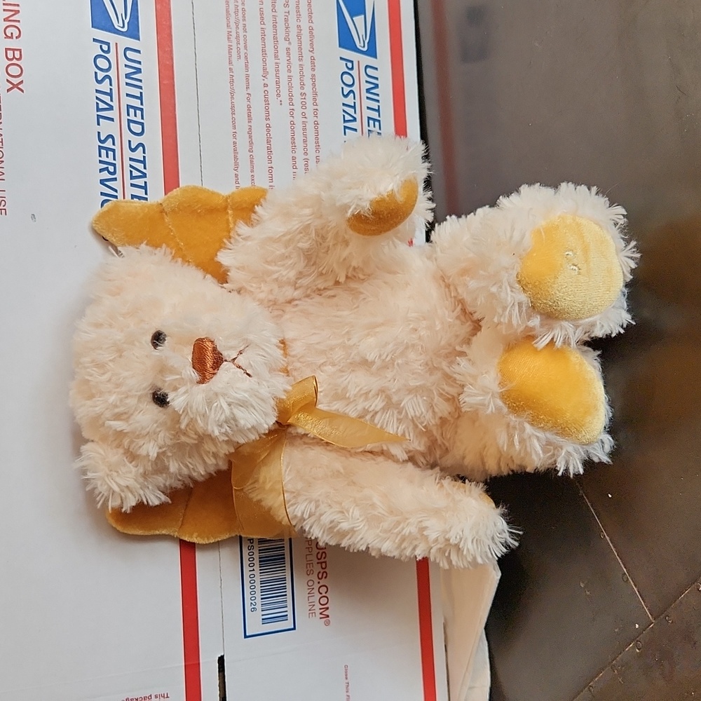 GUND Angel bear that Sings " I am a promise" . Video included